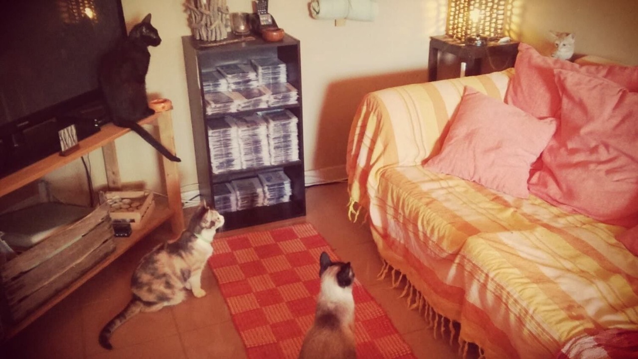 Photo of Others in Piana degli Albanesi