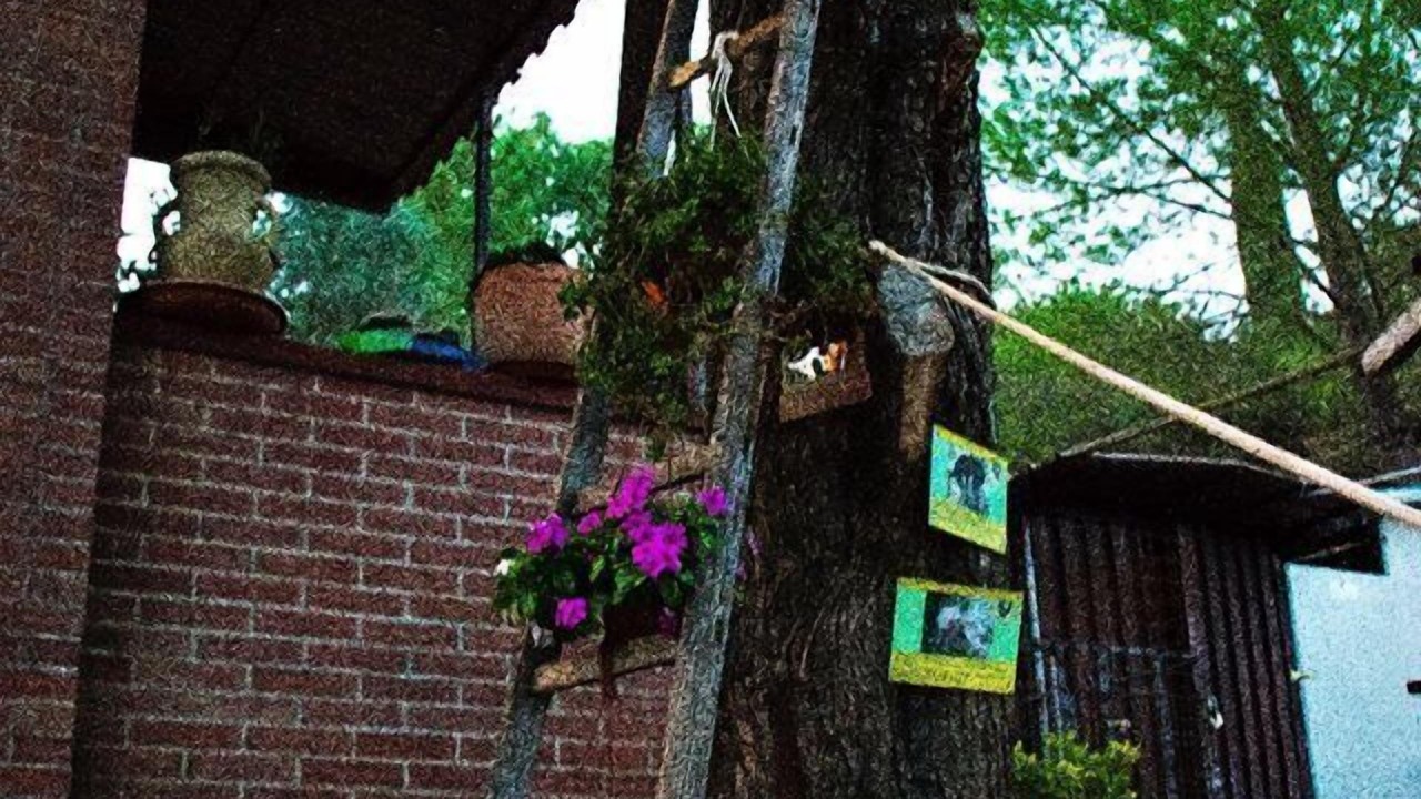 Photo of Outdoor in Piana degli Albanesi