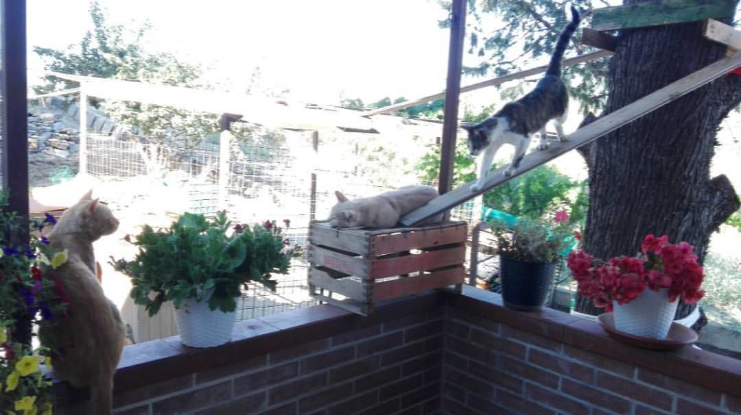 Photo of Others in Piana degli Albanesi