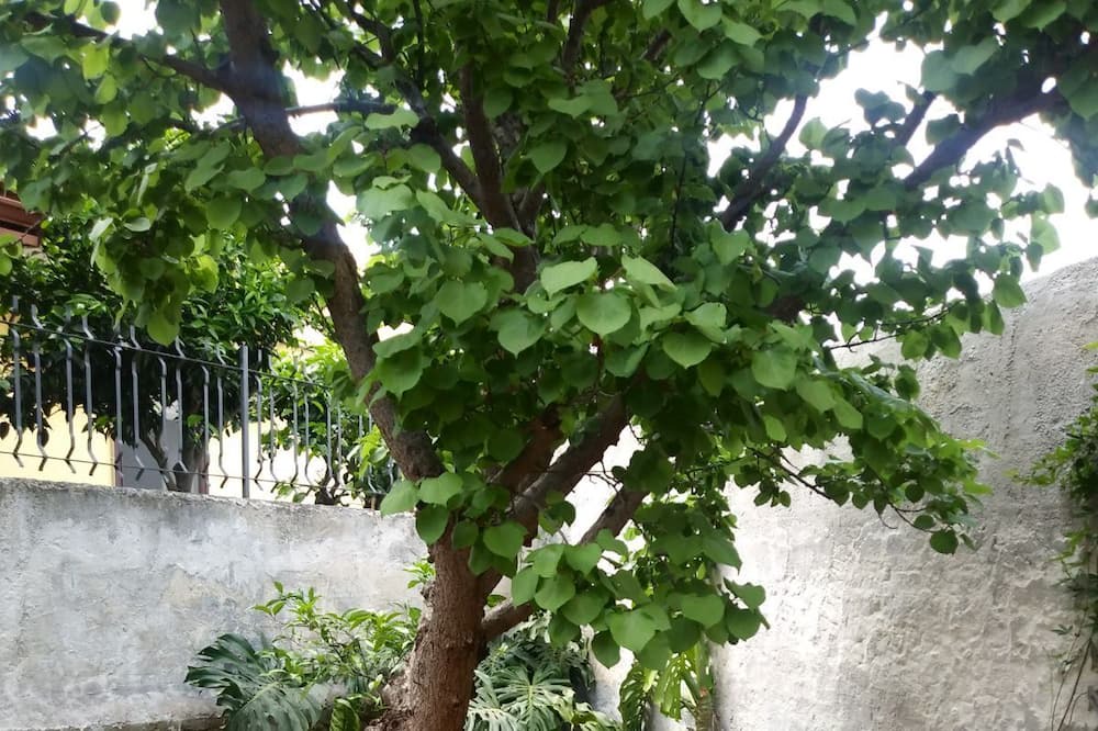Photo of Outdoor in Tiche