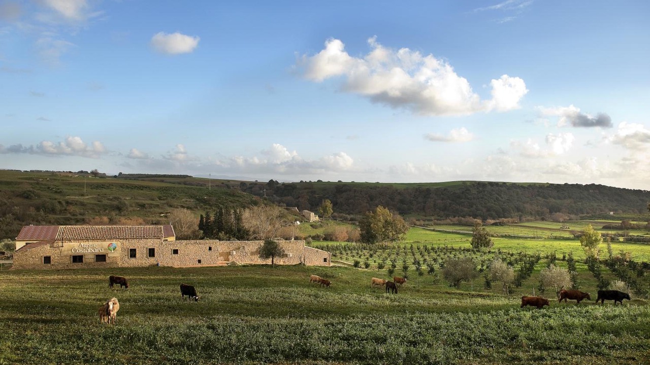 Photo of Outdoor in Caltagirone