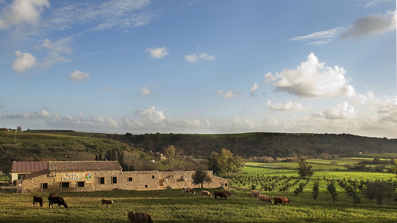 Photo of Outdoor in Caltagirone