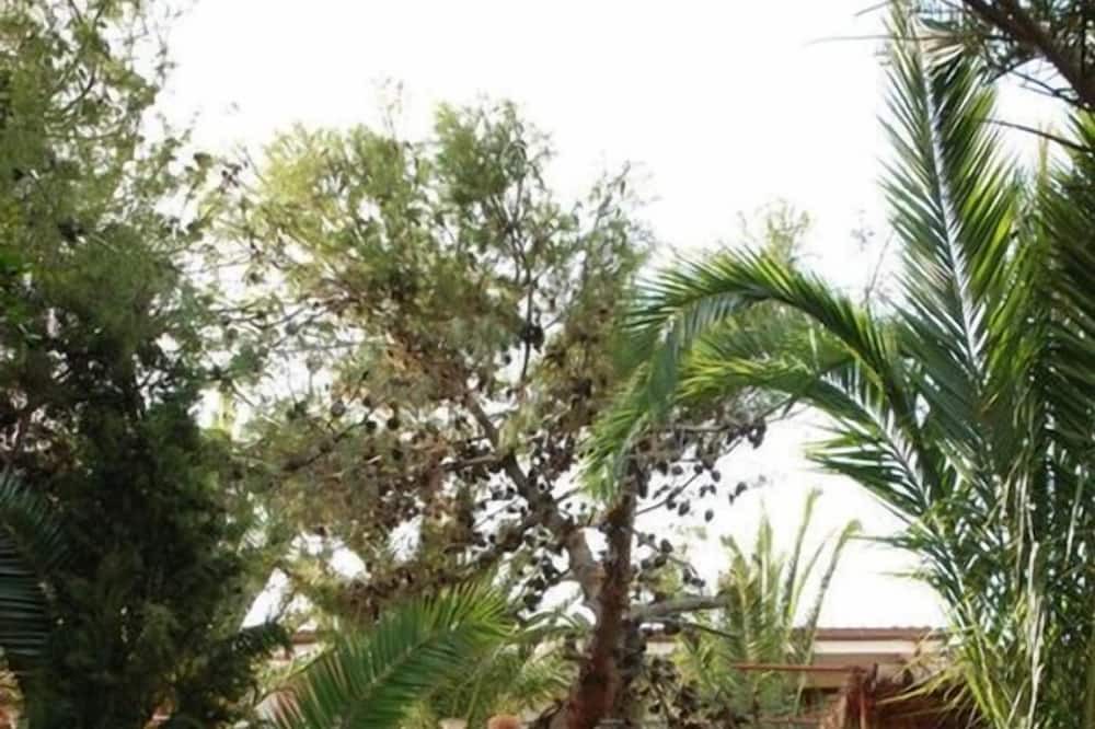 Photo of Outdoor in Licata