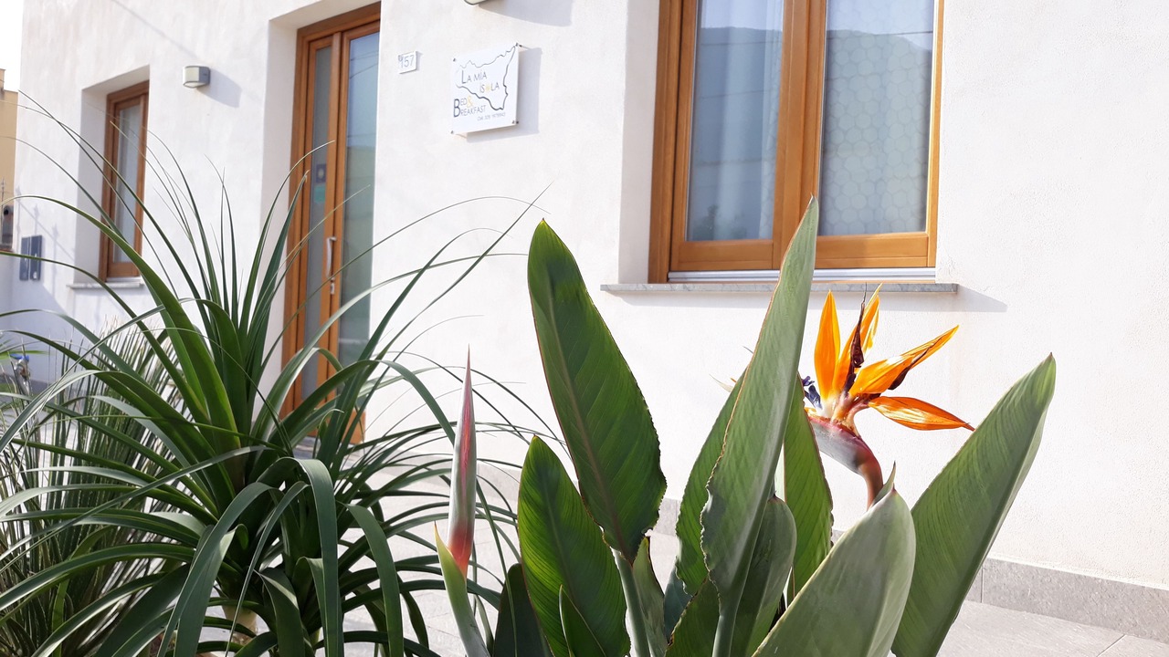 Photo of Outdoor in Castelluzzo