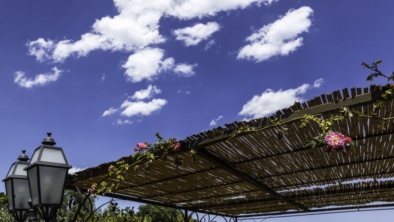Photo of Outdoor in Santa Tecla