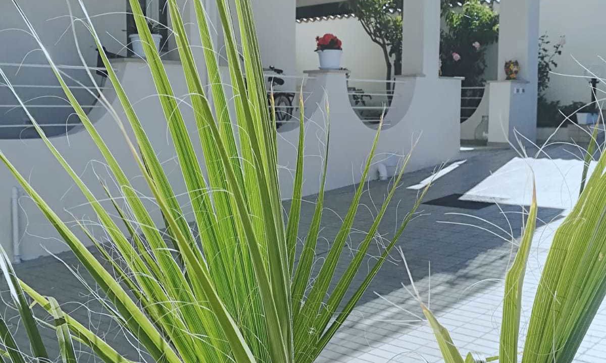 Photo of Outdoor in San Leone