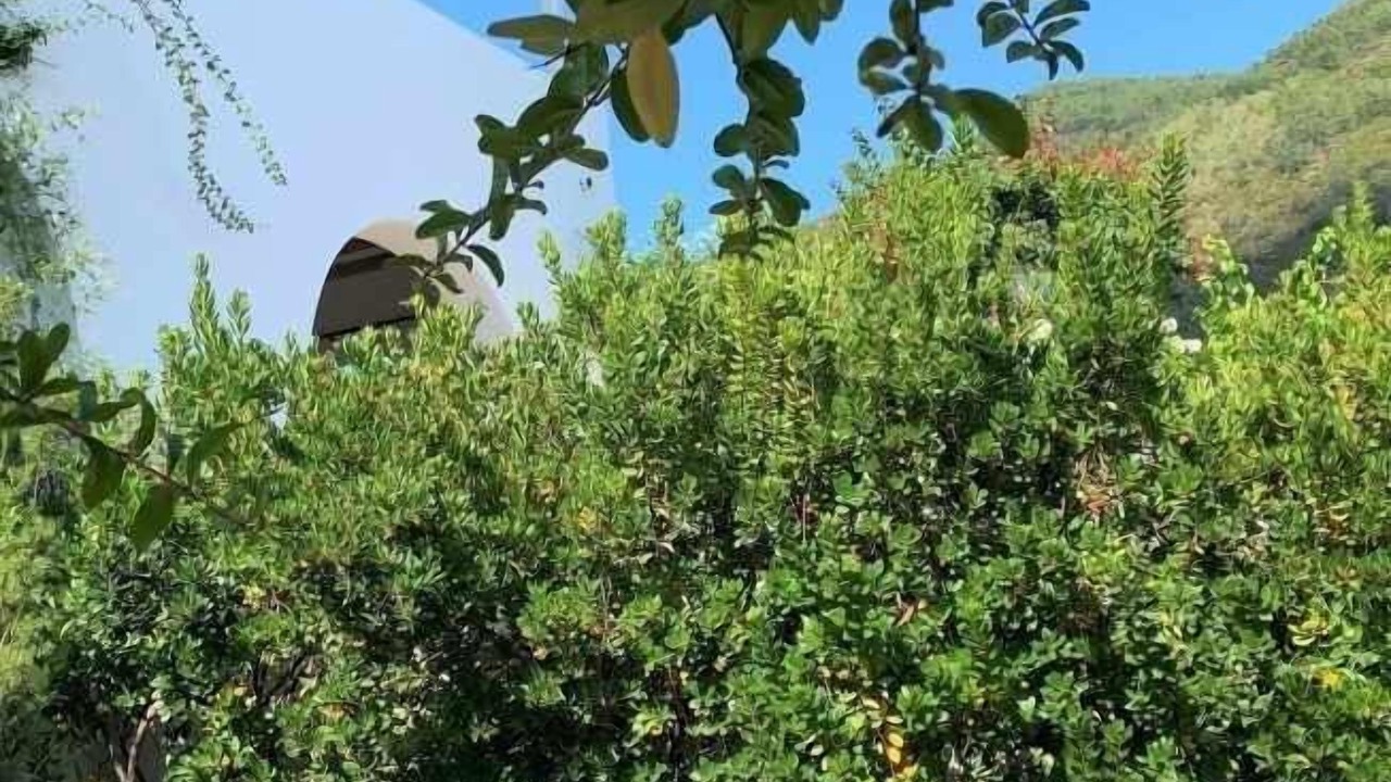 Photo of Outdoor in Leni