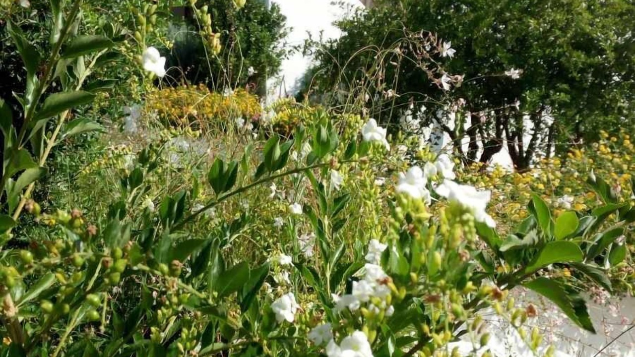 Photo of Outdoor in Leni