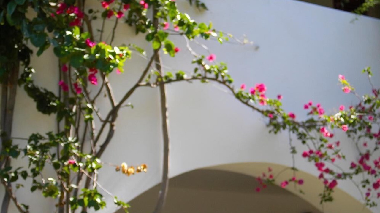 Photo of Outdoor in Lipari Historic Centre