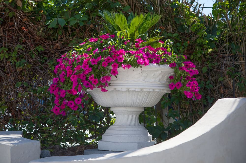Photo of Outdoor in Chianchitta-Pallio
