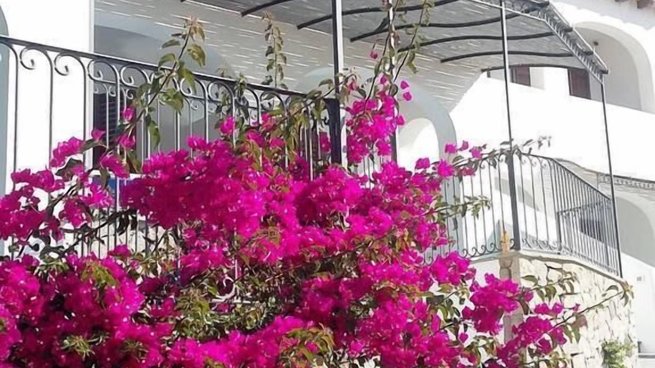 Photo of Outdoor in Canneto
