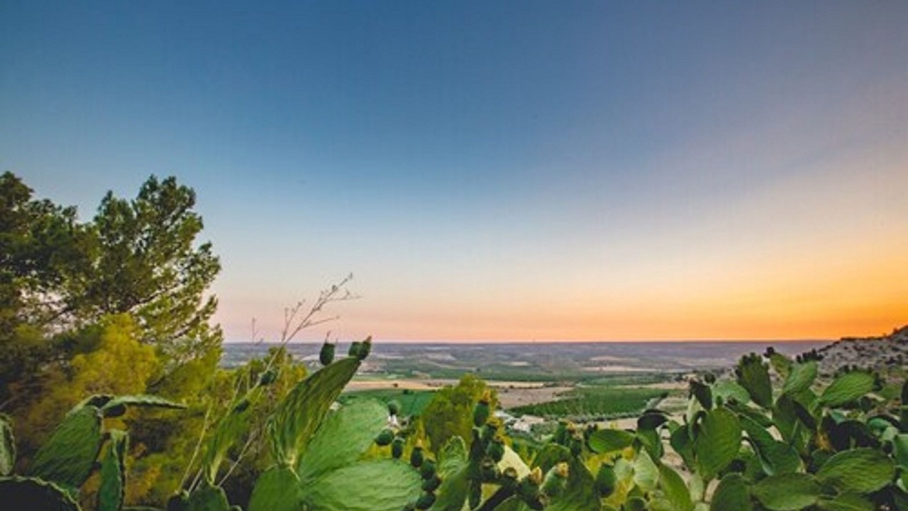Photo of Outdoor in Fattoria di Torresena