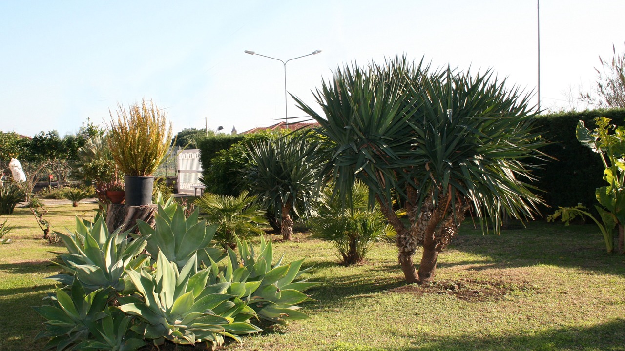 Photo of Others in Coste