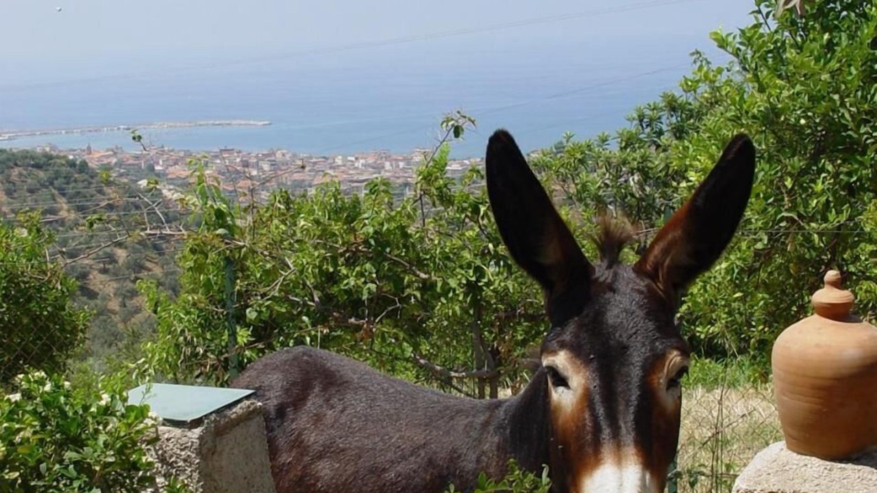 Photo of Outdoor in Sant'Agata di Militello