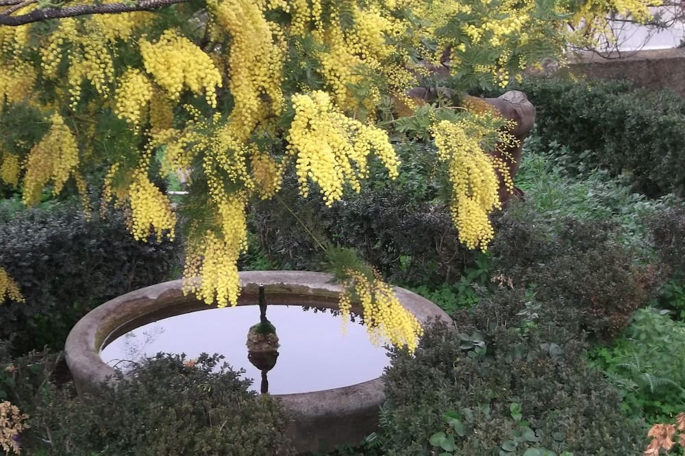 Photo of Outdoor in Patti