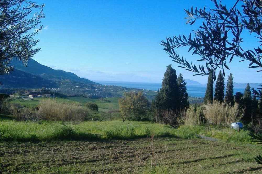 Photo of Outdoor in Patti