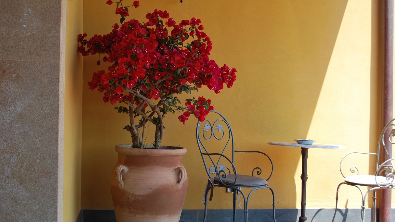 Photo of Patio Balcony in Portopalo di Capo Passero