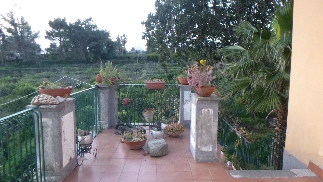 Photo of Others in Macchia
