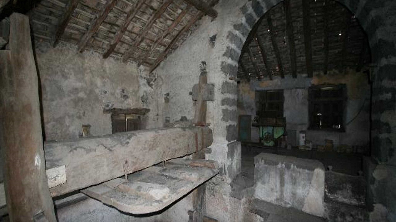 Photo of Others in Macchia