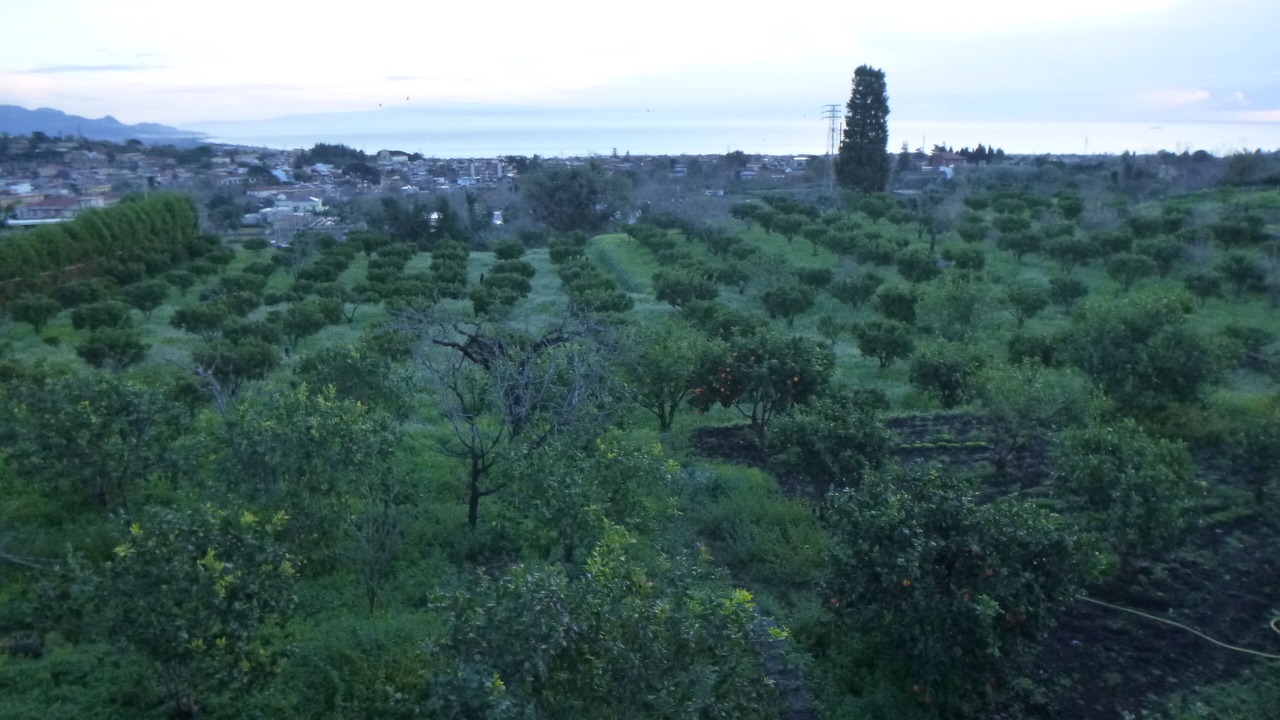 Photo of Outdoor in Macchia