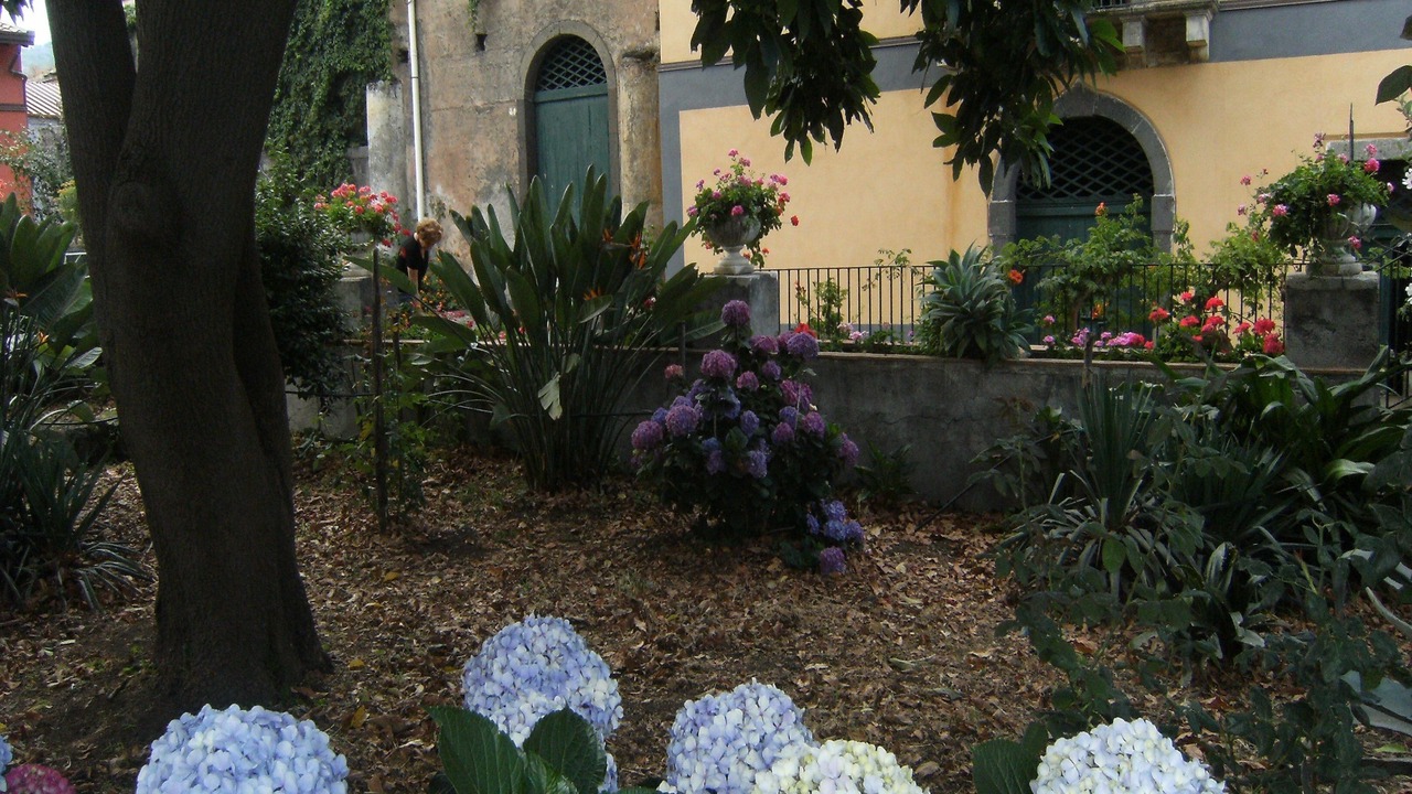 Photo of Outdoor in Macchia