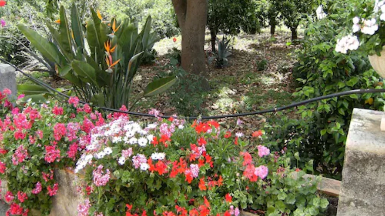 Photo of Outdoor in Macchia