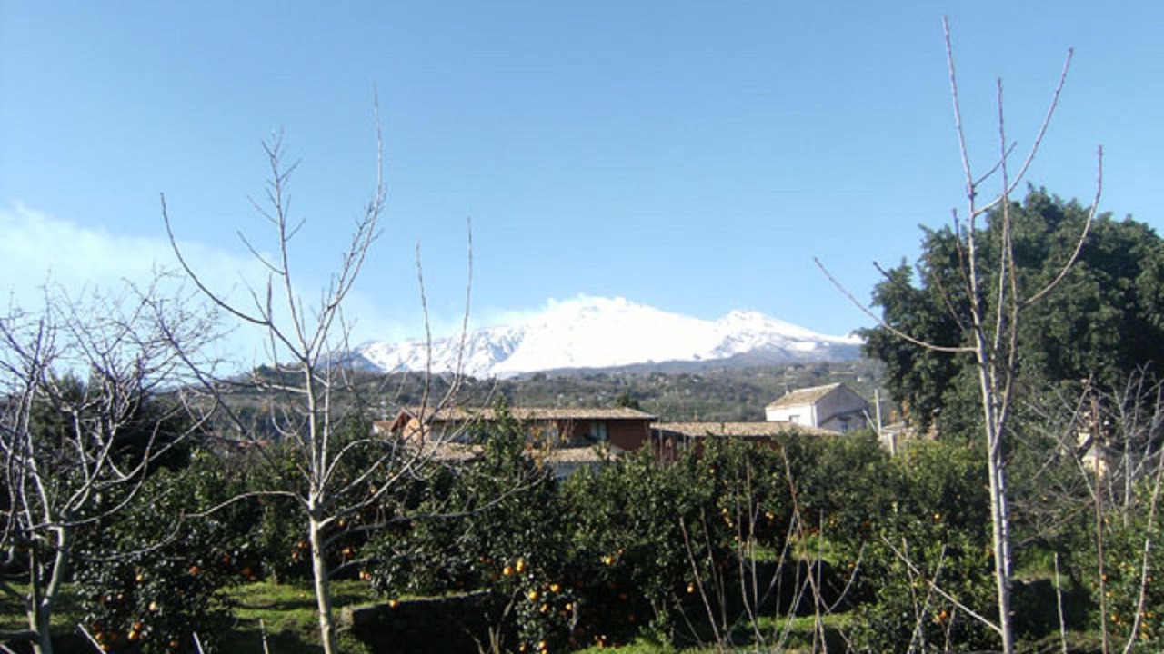 Photo of Others in Macchia