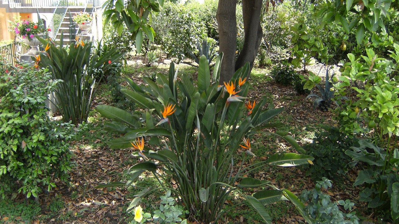 Photo of Outdoor in Macchia