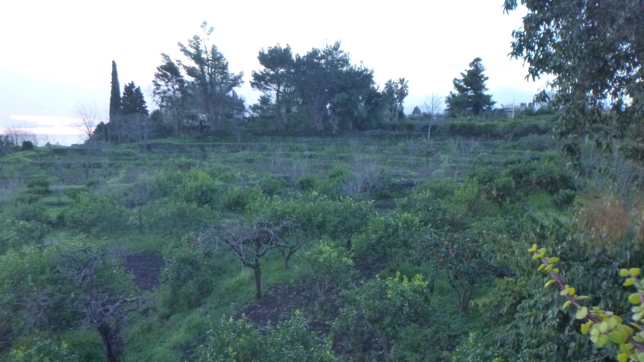 Photo of Outdoor in Macchia