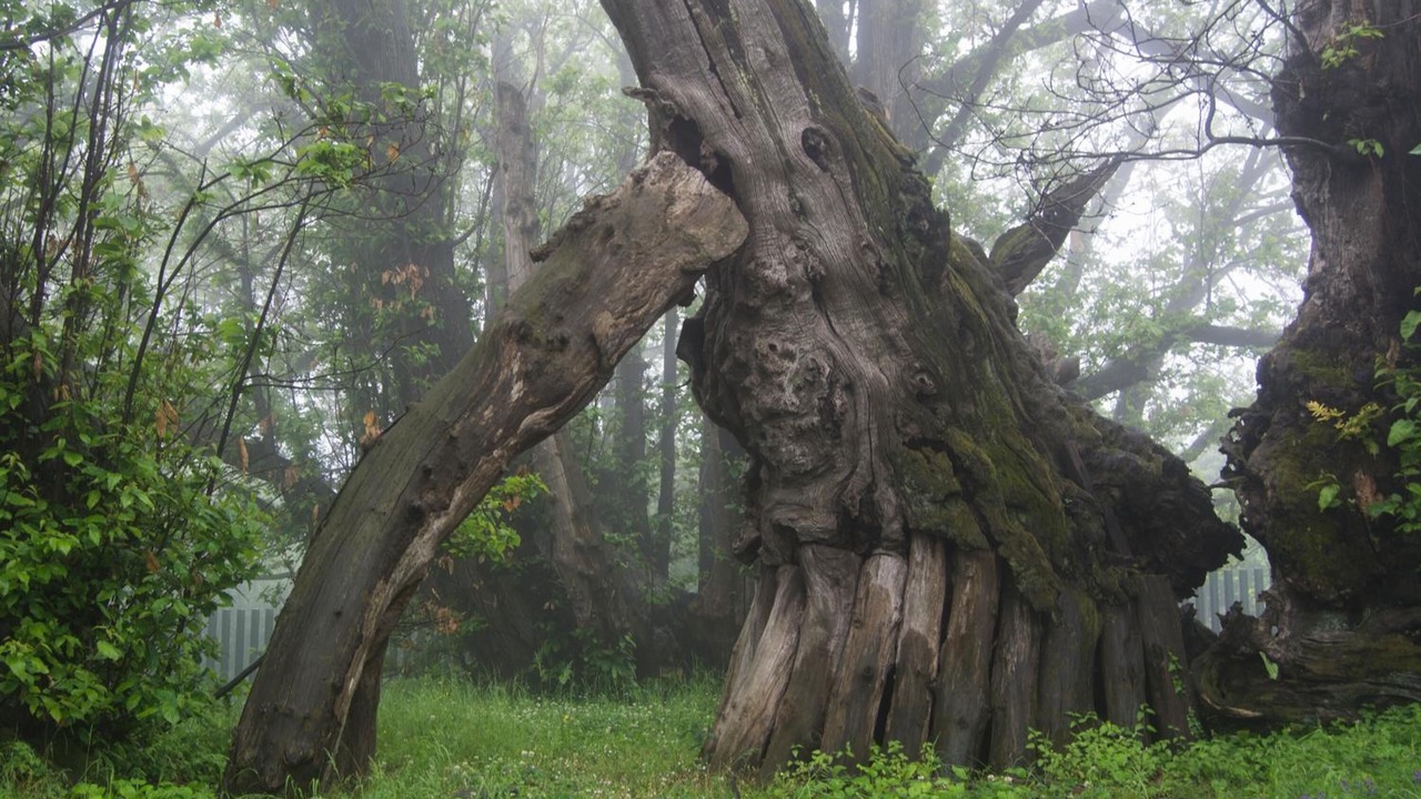 Photo of Outdoor in Nicolosi