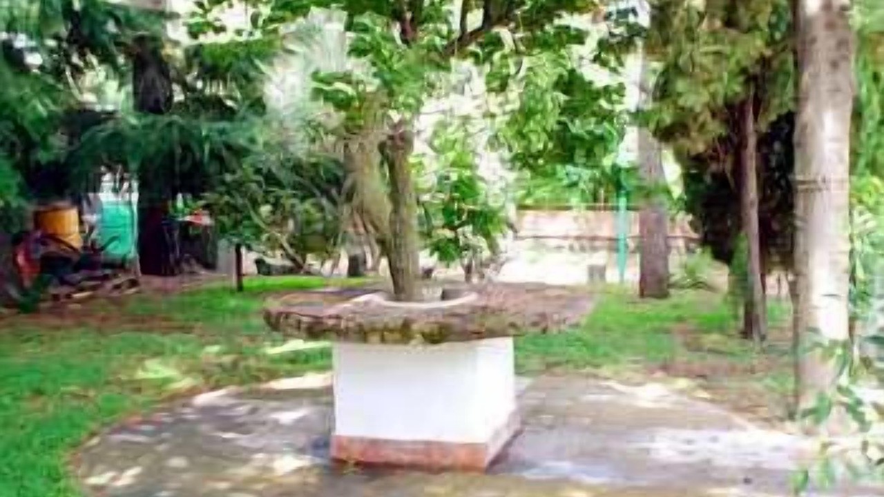 Photo of Outdoor in Trecastagni