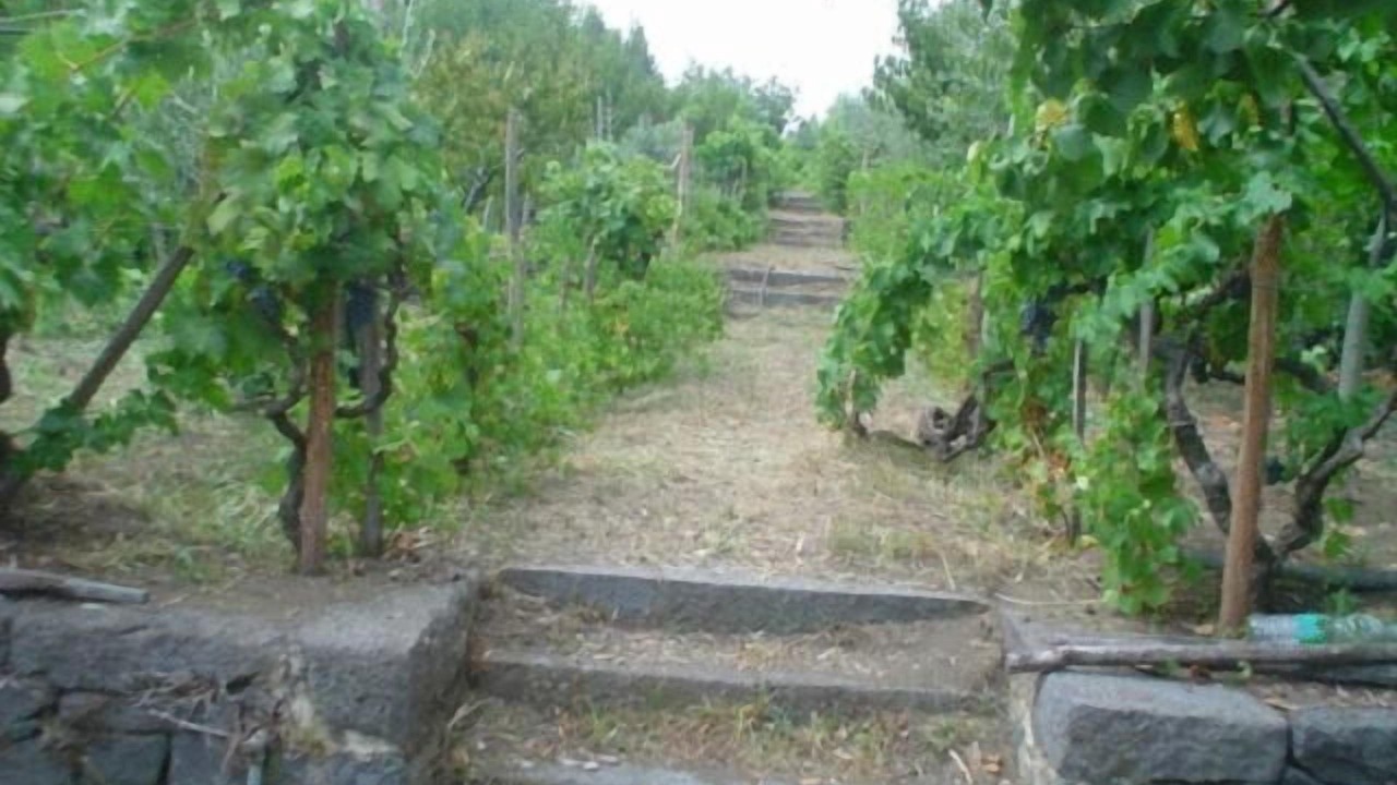 Photo of Outdoor in Trecastagni