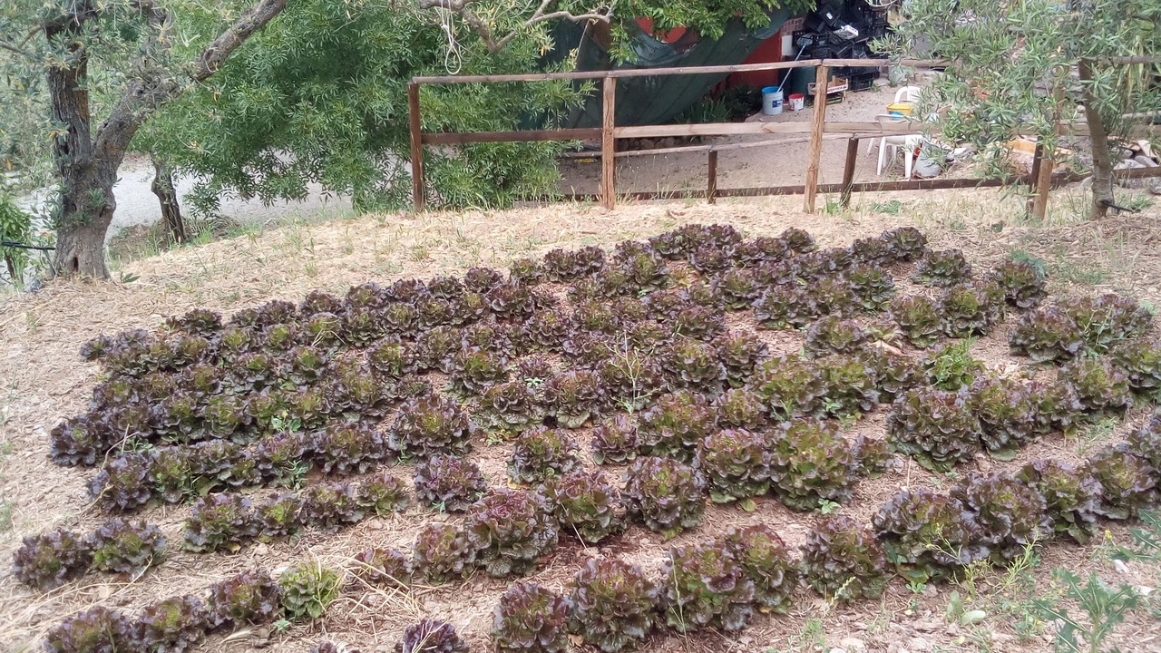 Photo of Outdoor in Santa Cristina Gela