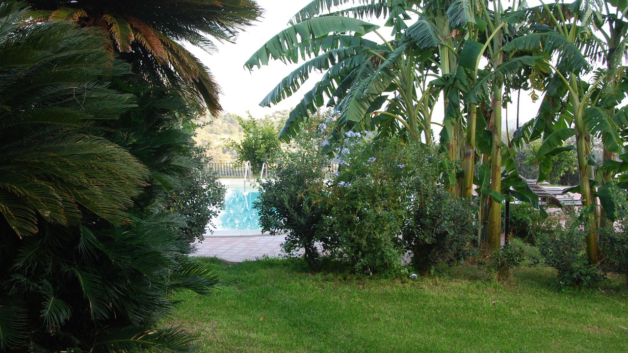 Photo of Outdoor in Mitogio
