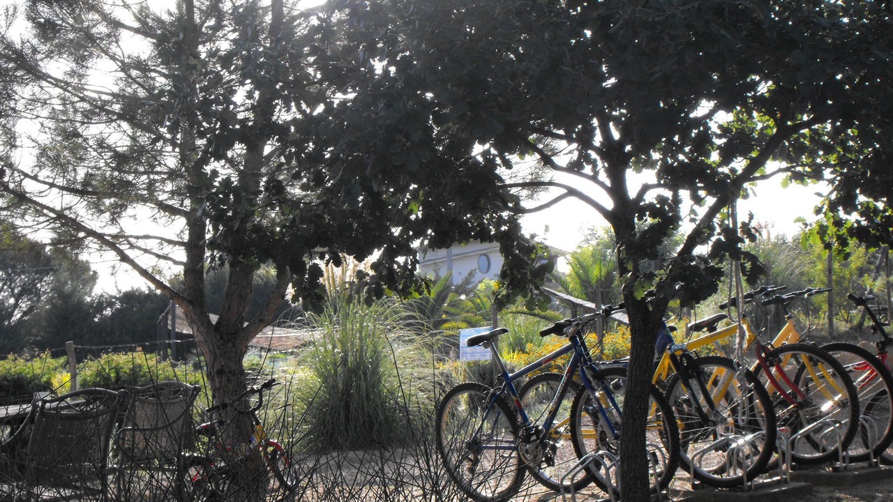 Photo of Outdoor in Piazza Armerina