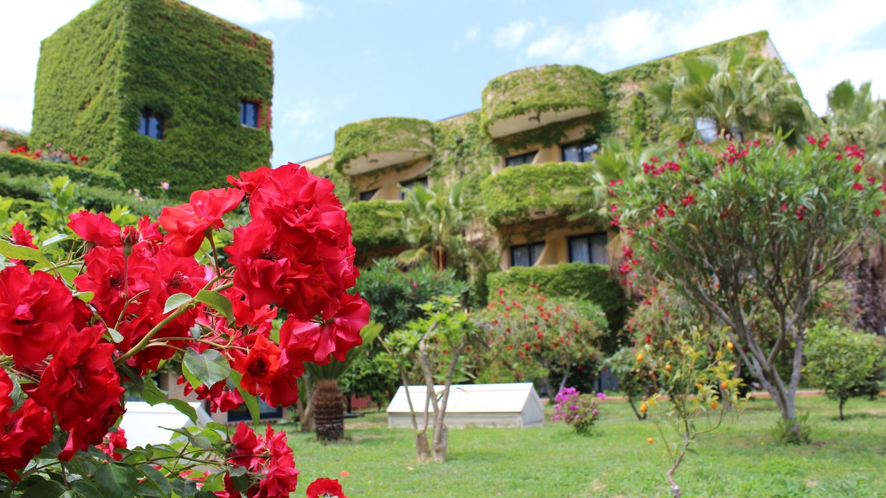 Photo of Outdoor in Chianchitta-Pallio