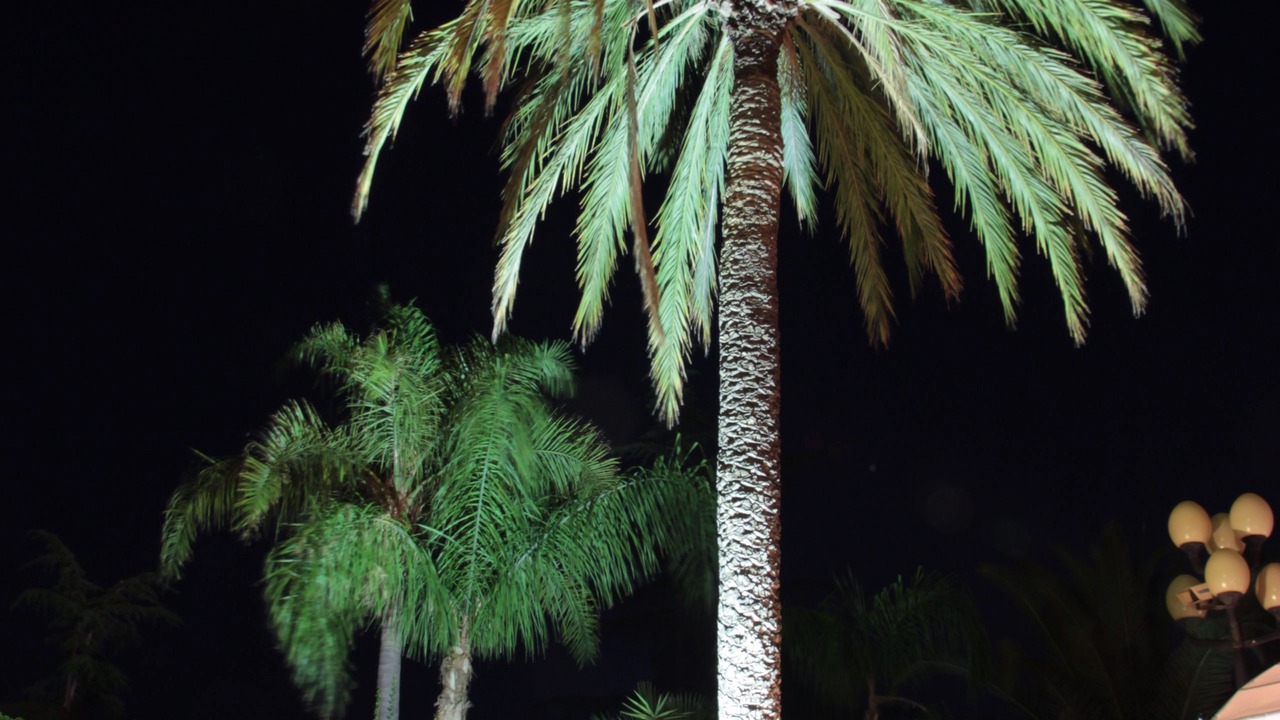 Photo of Outdoor in San Giovanni la Punta