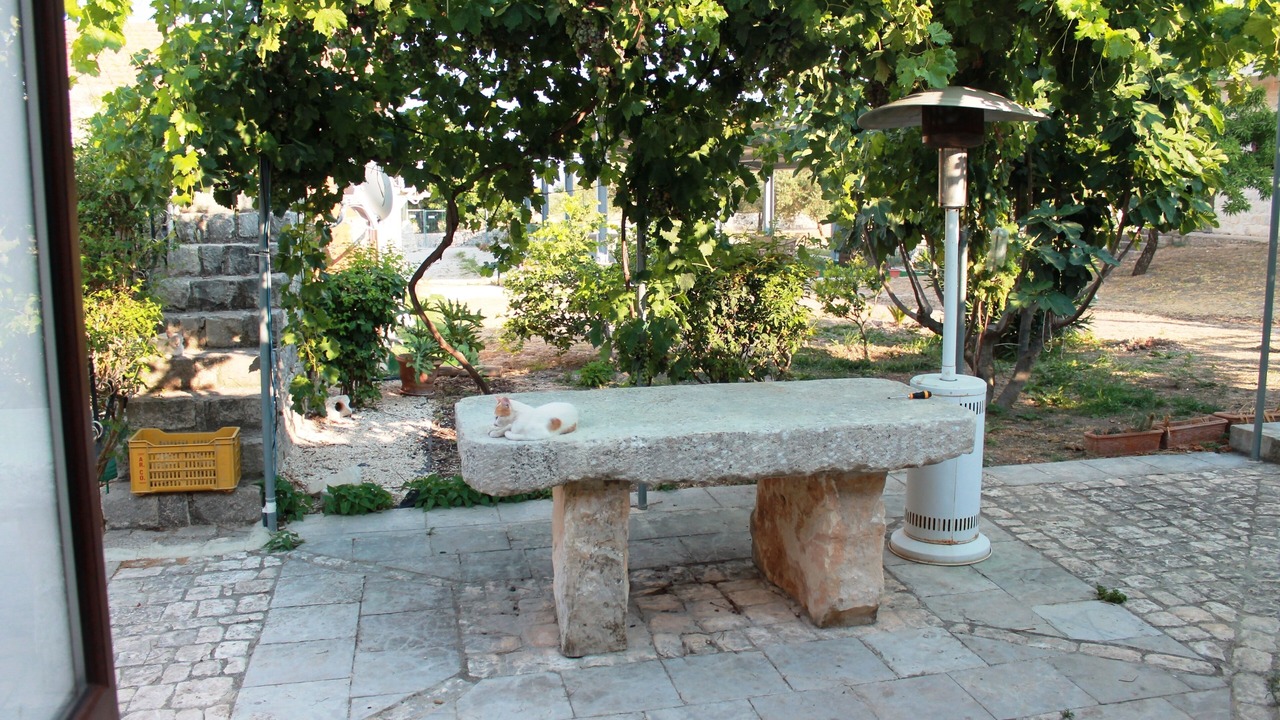 Photo of Patio Balcony in Casa Papa