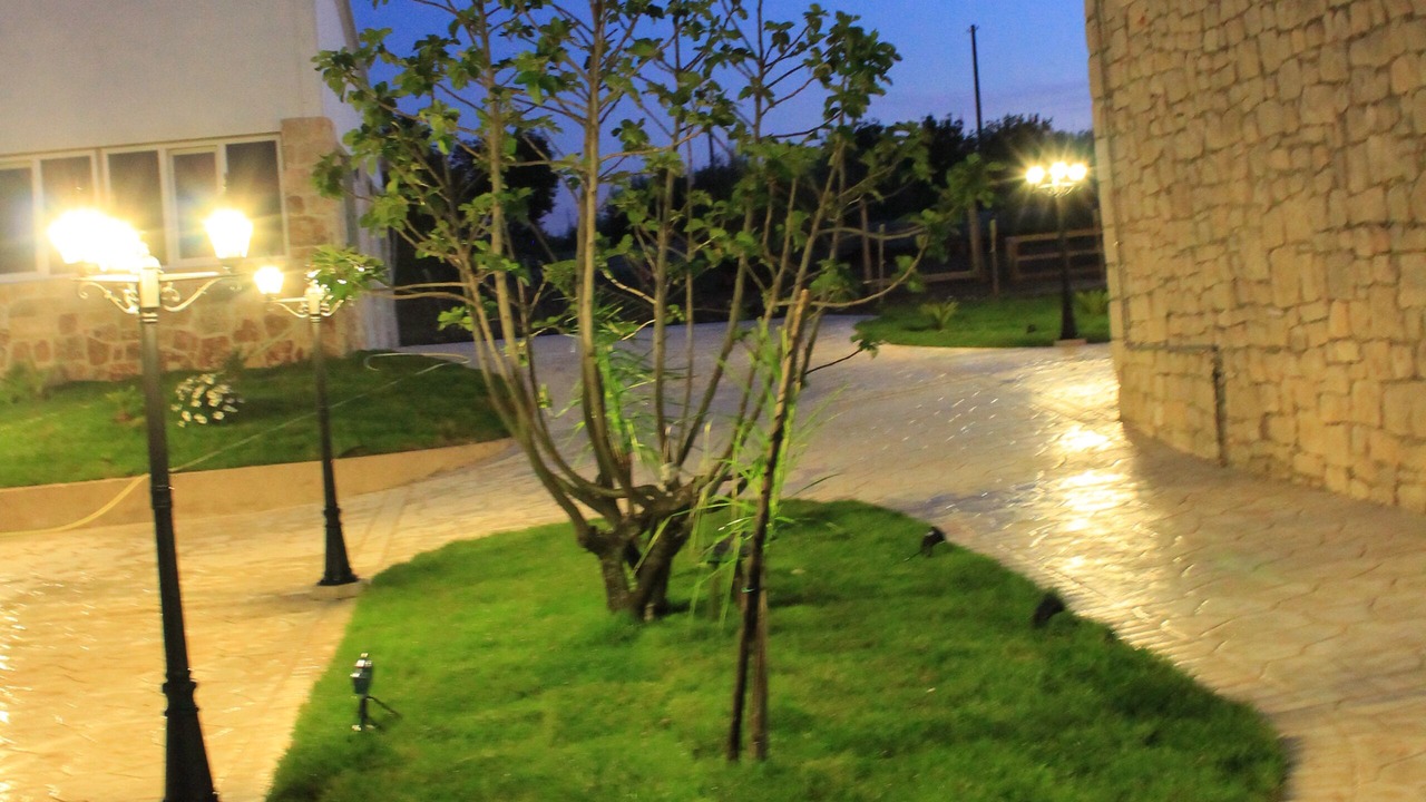 Photo of Outdoor in Casa Papa