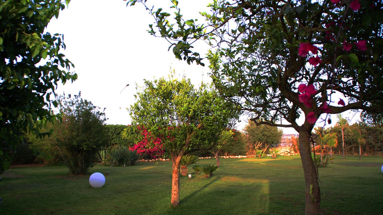 Photo of Outdoor in Vittoria