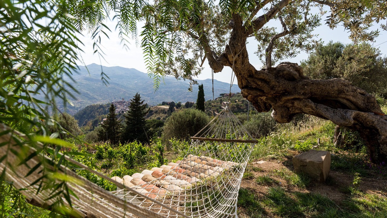Photo of Outdoor in Pettineo