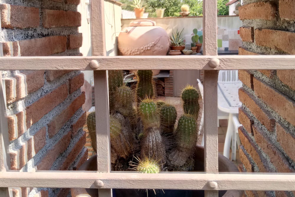 Photo of Others in Santa Tecla