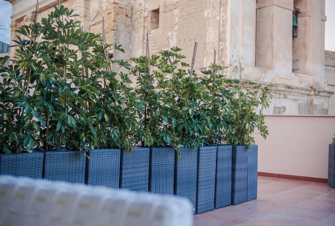 Photo of Patio Balcony in Licata