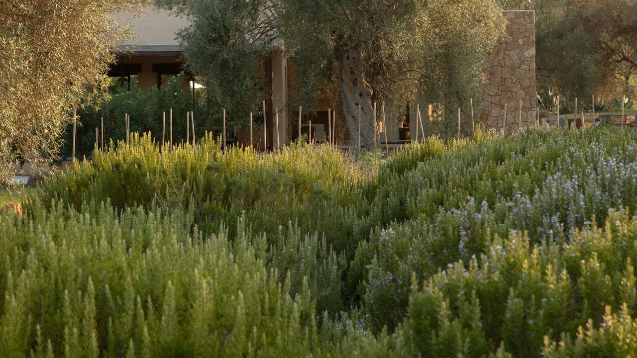 Photo of Outdoor in Avola