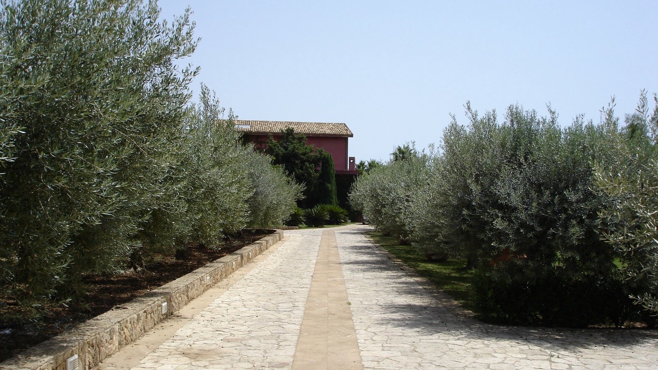 Photo of Outdoor in Agrigento