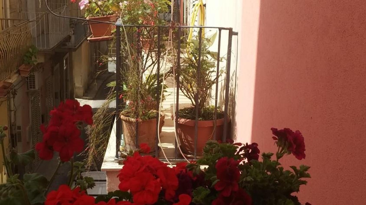 Photo of Outdoor in Ragusa