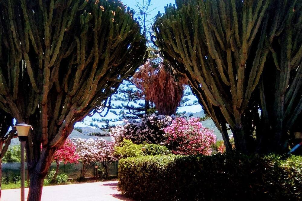 Photo of Outdoor in Piane Vecchie