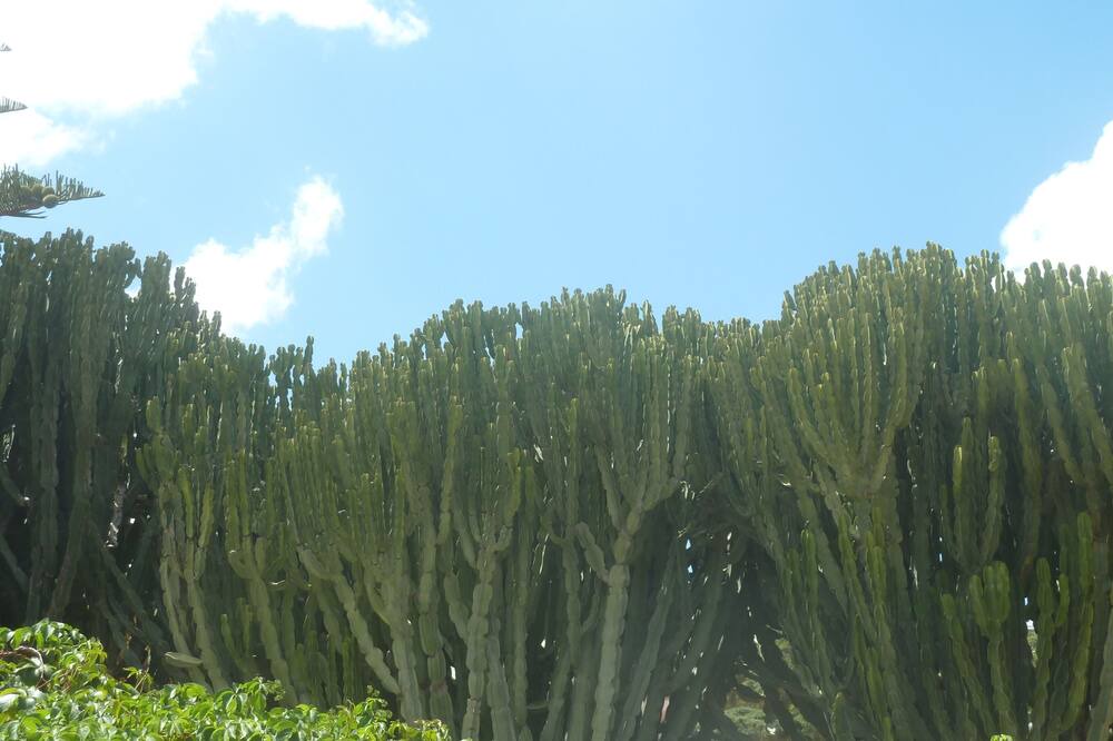 Photo of Outdoor in Piane Vecchie