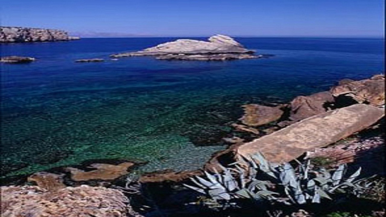 Photo of Outdoor in Capaci