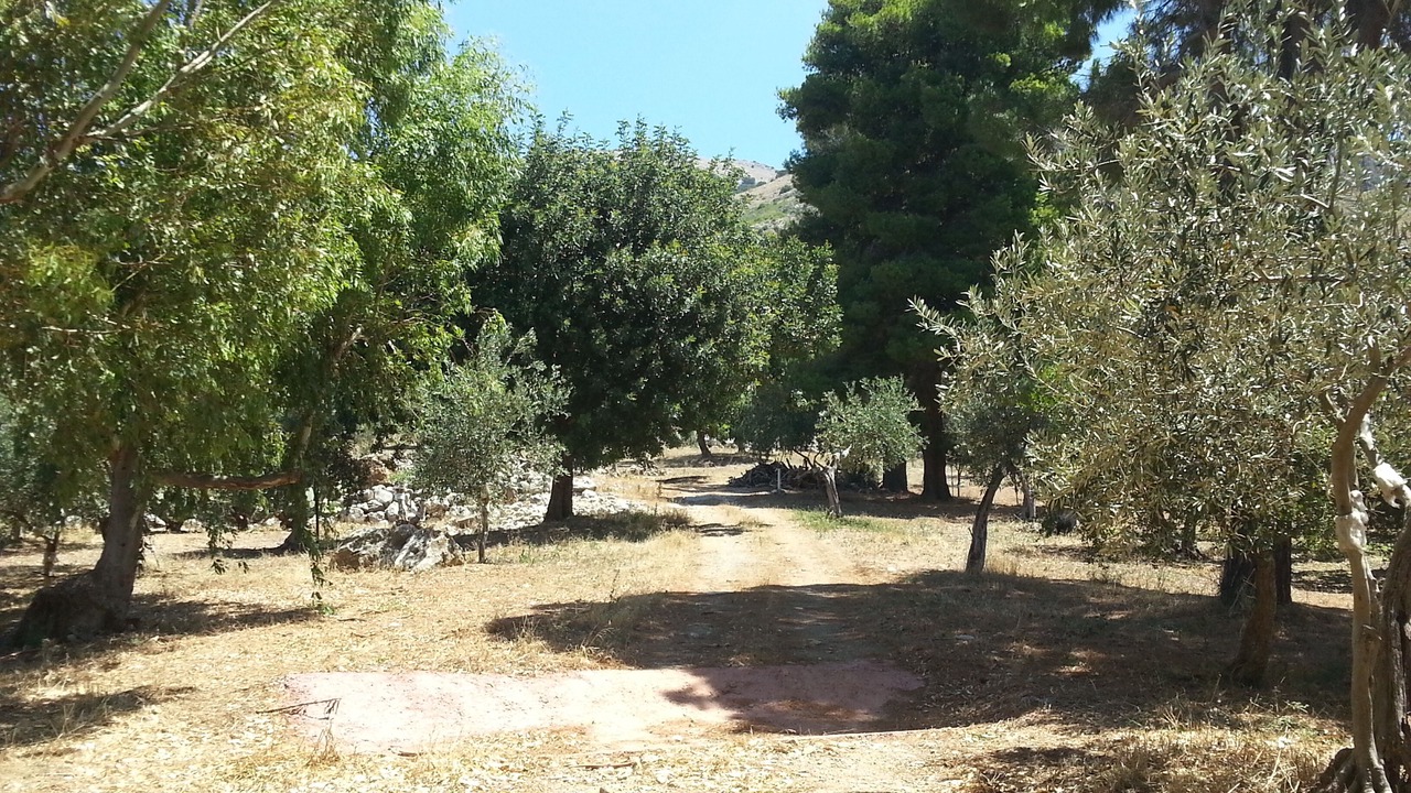 Photo of Outdoor in Capaci